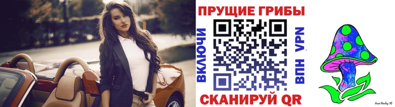 MEGA tor  Кущёвская  Галлюциногенные грибы GOLDEN TEACHER 